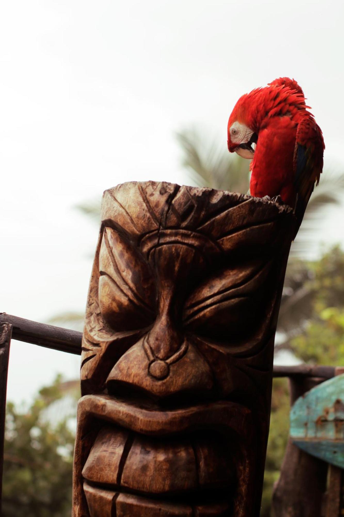 Finca Barlovento Cabana, Tayrona Los Naranjos Dış mekan fotoğraf